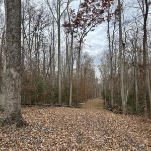 Photo #1 of 14409 SPOTSWOOD FURNACE RD, FREDERICKSBURG, VA 5.0 acres