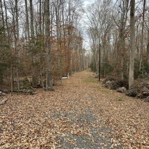 Photo #15 of 14409 SPOTSWOOD FURNACE RD, FREDERICKSBURG, VA 5.0 acres