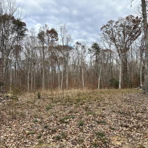 Photo #3 of 14409 SPOTSWOOD FURNACE RD, FREDERICKSBURG, VA 5.0 acres