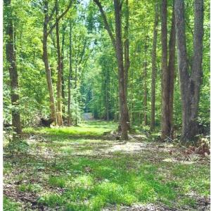 Photo #2 of 14409 SPOTSWOOD FURNACE RD, FREDERICKSBURG, VA 5.0 acres