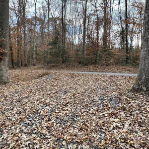 Photo #9 of 14409 SPOTSWOOD FURNACE RD, FREDERICKSBURG, VA 5.0 acres
