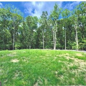 Photo #2 of 14409 SPOTSWOOD FURNACE RD, FREDERICKSBURG, VA 5.0 acres