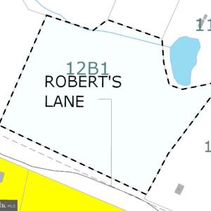 Photo #1 of ROBERTS LANE LN, RIXEYVILLE, VA 10.0 acres
