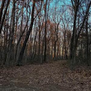 Photo #1 of ROBERTS LANE LN, RIXEYVILLE, VA 10.0 acres