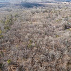 Photo #5 of ROBERTS LANE LN, RIXEYVILLE, VA 10.0 acres