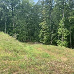 Tanglewood Hills - photo60