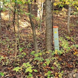 Photo #6 of ERNEST ROBINSON ROAD, MARSHALL, VA 5.6 acres