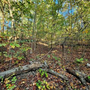 Photo #7 of ERNEST ROBINSON ROAD, MARSHALL, VA 5.6 acres