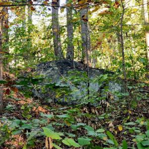 Photo #11 of ERNEST ROBINSON ROAD, MARSHALL, VA 5.6 acres