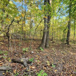 Photo #8 of ERNEST ROBINSON ROAD, MARSHALL, VA 5.6 acres