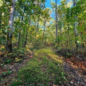 Photo #10 of ERNEST ROBINSON ROAD, MARSHALL, VA 5.6 acres