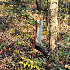 Photo #12 of ERNEST ROBINSON ROAD, MARSHALL, VA 5.6 acres