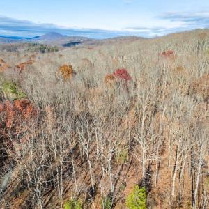 Photo #2 of ERNEST ROBINSON ROAD, MARSHALL, VA 5.6 acres