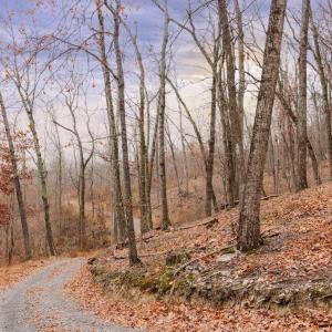 Photo #7 of GALLOWAY SPRING LN, STANLEY, VA 32.0 acres