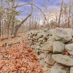 Photo #10 of GALLOWAY SPRING LN, STANLEY, VA 32.0 acres