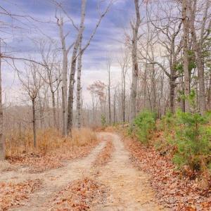 Photo #12 of GALLOWAY SPRING LN, STANLEY, VA 32.0 acres