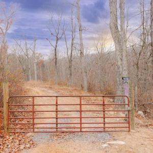 Photo #14 of GALLOWAY SPRING LN, STANLEY, VA 32.0 acres