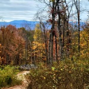 Photo #22 of GALLOWAY SPRING LN, STANLEY, VA 32.0 acres