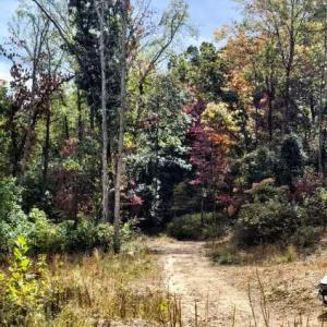 Photo #23 of GALLOWAY SPRING LN, STANLEY, VA 32.0 acres