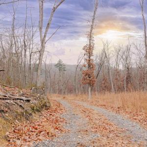 Photo #1 of GALLOWAY SPRING LN, STANLEY, VA 32.0 acres