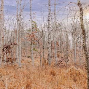 Photo #4 of GALLOWAY SPRING LN, STANLEY, VA 32.0 acres