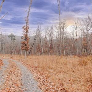 Photo #5 of GALLOWAY SPRING LN, STANLEY, VA 32.0 acres