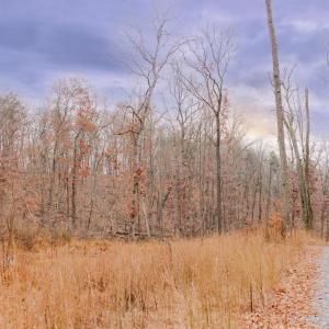 Photo #6 of GALLOWAY SPRING LN, STANLEY, VA 32.0 acres