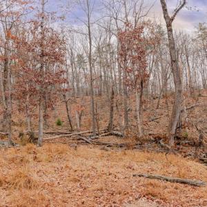 Photo #7 of GALLOWAY SPRING LN, STANLEY, VA 32.0 acres