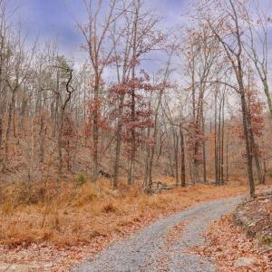 Photo #8 of GALLOWAY SPRING LN, STANLEY, VA 32.0 acres