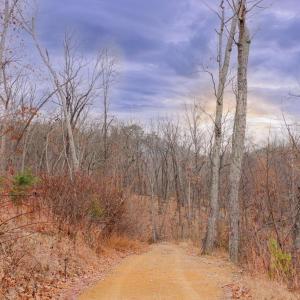 Photo #11 of GALLOWAY SPRING LN, STANLEY, VA 32.0 acres
