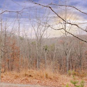 Photo #13 of GALLOWAY SPRING LN, STANLEY, VA 32.0 acres