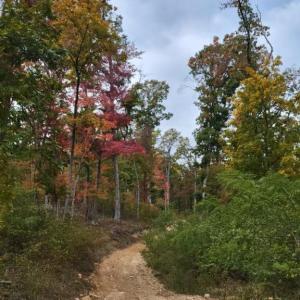 Photo #26 of GALLOWAY SPRING LN, STANLEY, VA 32.0 acres