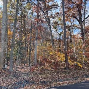 Photo #1 of 616 MT PLEASANT DR, LOCUST GROVE, VA 0.3 acres