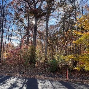 Photo #3 of 616 MT PLEASANT DR, LOCUST GROVE, VA 0.3 acres