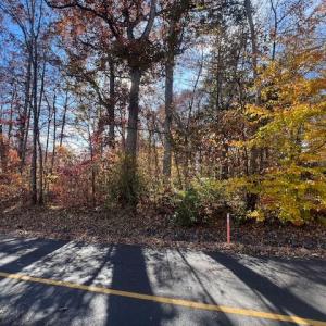 Photo #4 of 616 MT PLEASANT DR, LOCUST GROVE, VA 0.3 acres