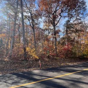 Photo #2 of 616 MT PLEASANT DR, LOCUST GROVE, VA 0.3 acres