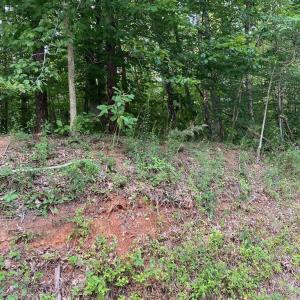 Photo #1 of LAHORE RD, ORANGE, VA 5.0 acres