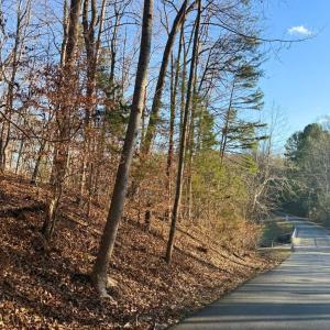 Photo #3 of N LAKESHORE DR, LOUISA, VA 0.3 acres