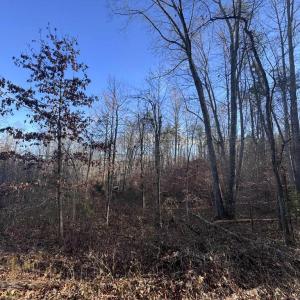 Photo #4 of BUGGY LN, ROCHELLE, VA 4.9 acres