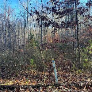 Photo #5 of BUGGY LN, ROCHELLE, VA 4.9 acres