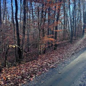 Photo #10 of BUGGY LN, ROCHELLE, VA 4.9 acres