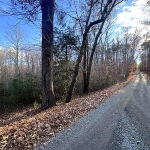Photo #3 of BUGGY LN, ROCHELLE, VA 4.9 acres