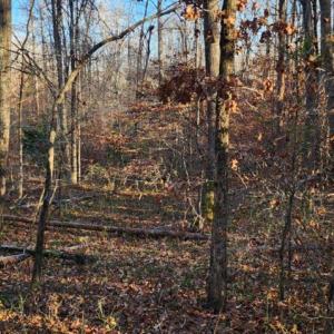 Photo #10 of BUGGY LN, ROCHELLE, VA 4.9 acres