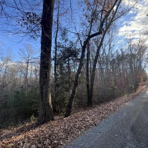 Photo #2 of BUGGY LN, ROCHELLE, VA 4.9 acres