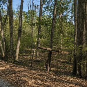 Photo #5 of BUGGY LN, ROCHELLE, VA 4.9 acres