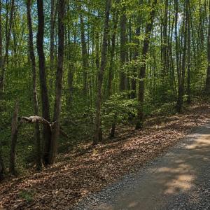Photo #4 of BUGGY LN, ROCHELLE, VA 4.9 acres