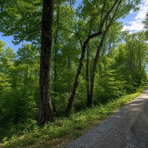 Photo #2 of BUGGY LN, ROCHELLE, VA 4.9 acres
