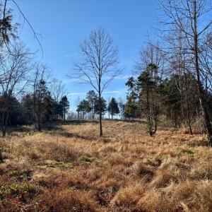 Photo #8 of HARPER VALLEY RD, LURAY, VA 8.2 acres