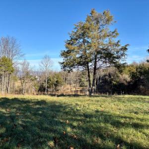 Photo #10 of HARPER VALLEY RD, LURAY, VA 8.2 acres