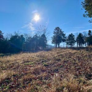 Photo #17 of HARPER VALLEY RD, LURAY, VA 8.2 acres